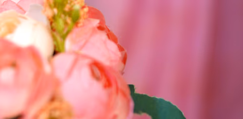 Luxury Flower Garden Background