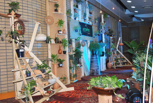 Plant House, Terrarium Workshop & Plant Store