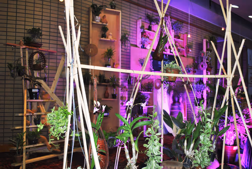 Plant House, Terrarium Workshop & Plant Store