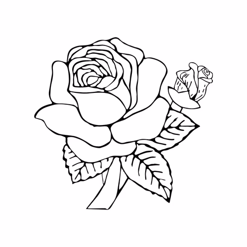 Golap Ful   Rose Flower Marka for Election Symbol Vector Clipart