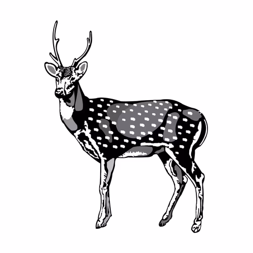 Horin Marka or Deer Marka for Election Symbol Vector Clipart