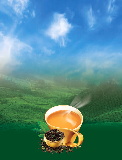 Tea Cup Garden Background