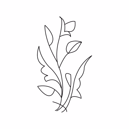 Floral Vector for Invitation Cards and Labels Graphic