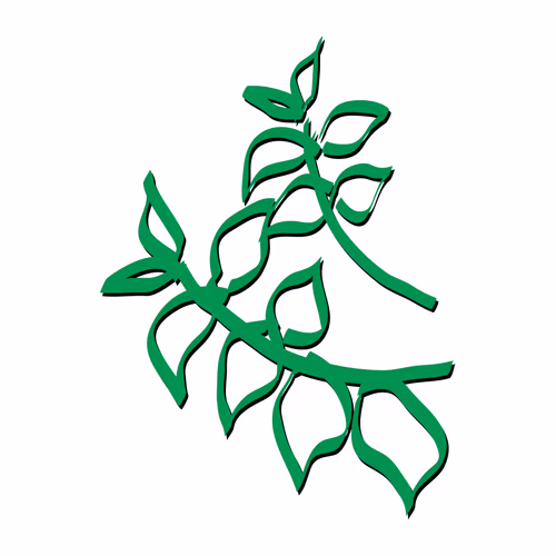 Botanic Leaves Plant Branch Vector Outline