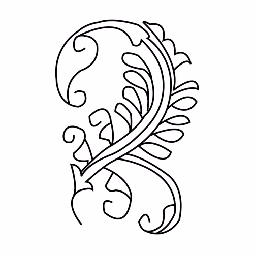 Flower Outline Coloring Page Design Vector Floral Illustration