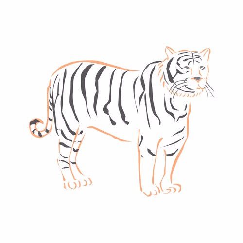 Royal Bengal Tiger Illustration With Hyperdetailed Outlined Art
