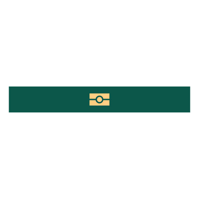 Bangladeshi E Passport WV Logo