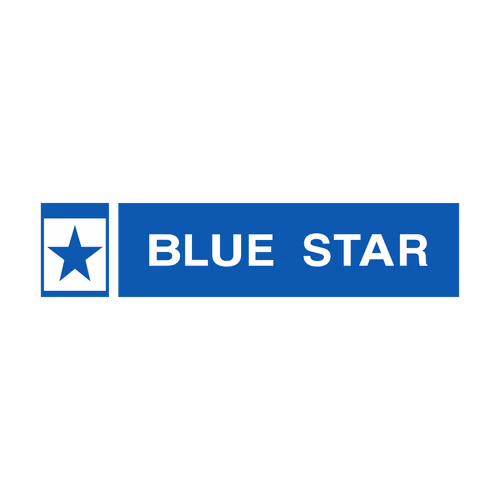 Blue Star Logo Vector