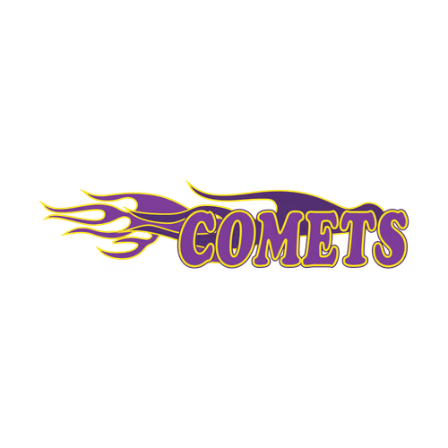 Comets Logo Vector