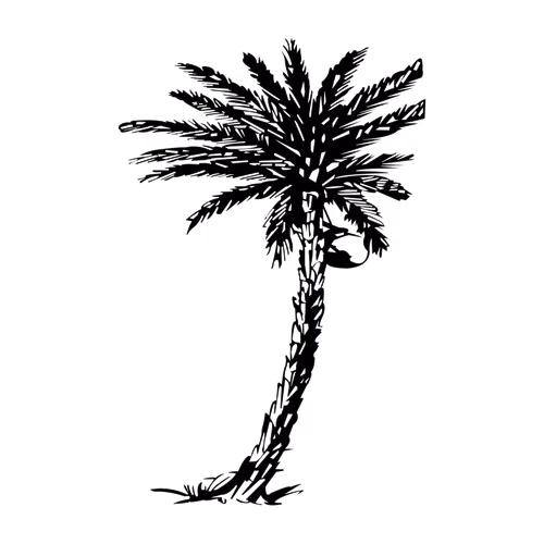 Date Tree Design labeled linocut Silhouette Illustration for Election Symbol