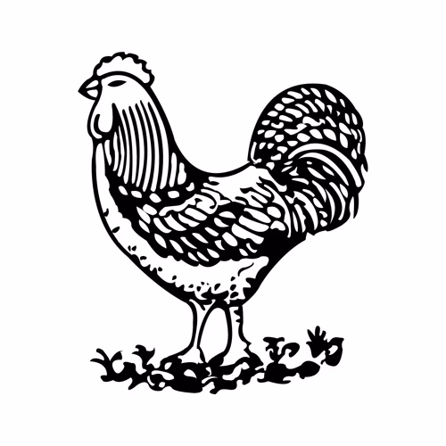 Rooster Marka for Election Symbol Vector Clipart Morog Logo