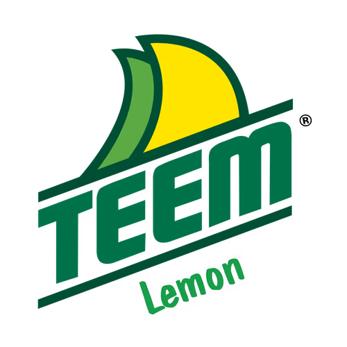 Teem Lemon Brand Logo Vector Design