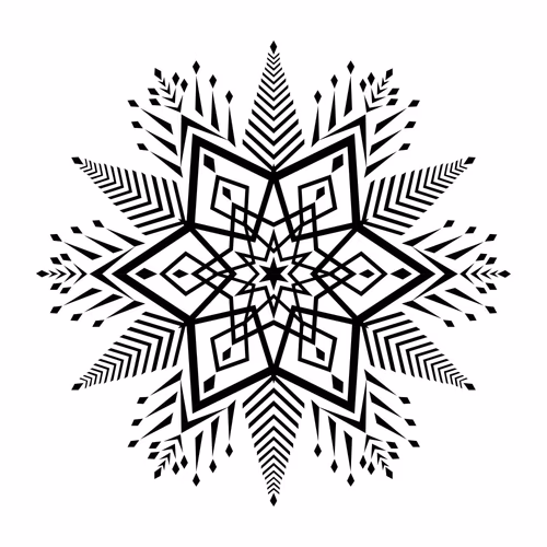 Black and White Star and Leaves Pattern