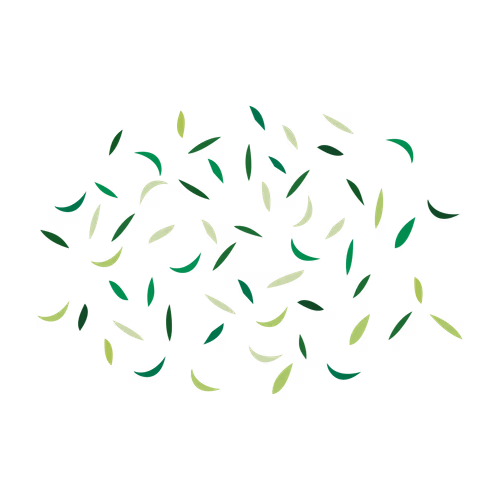Green Leaf Seamless Pattern Tea Leaf vector